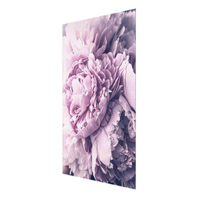 tableaux floraux Fleurs de pivoines violettes