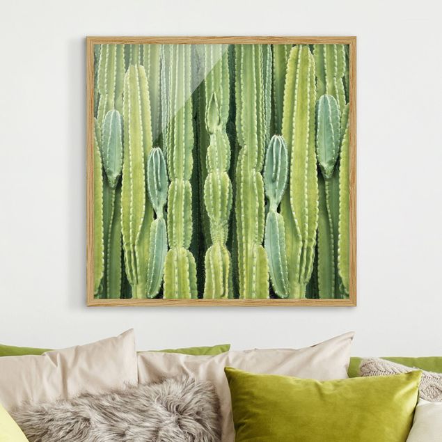 Tableaux encadrés fleurs Mur de cactus