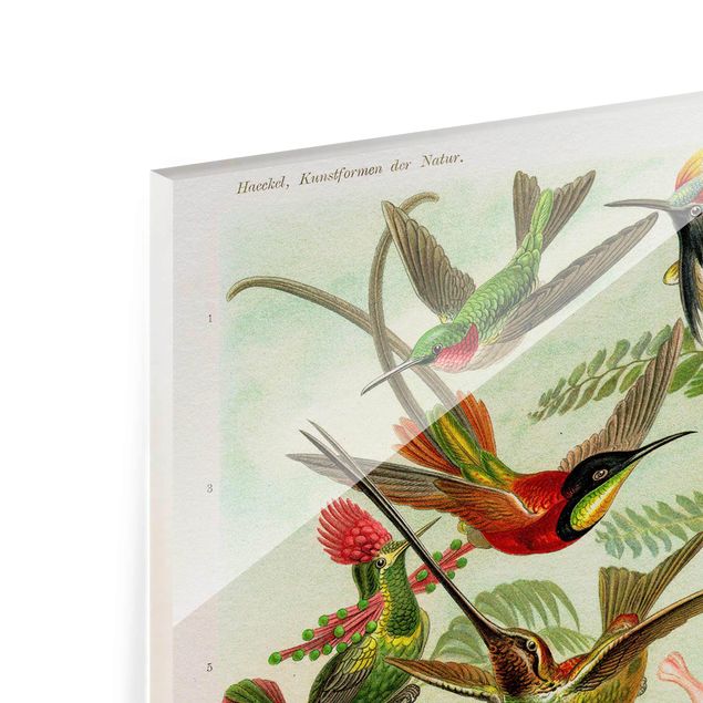 Tableaux en verre magnétique Vintage Board Hummingbirds