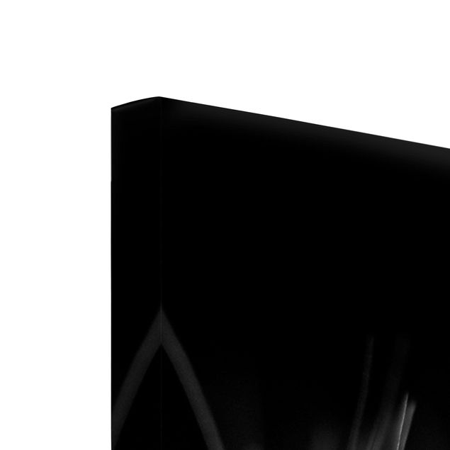 Tableaux noir et blanc Pissenlits en mouvement en gros plan sur fond noir