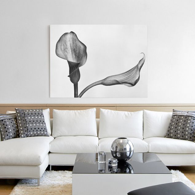 Tableau sur toile fleurs Gros plan de Calla Noir Et Blanc