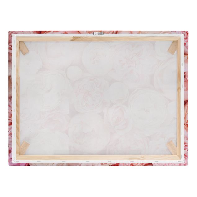 Impressions sur toile Roses Coral Shabby en rose