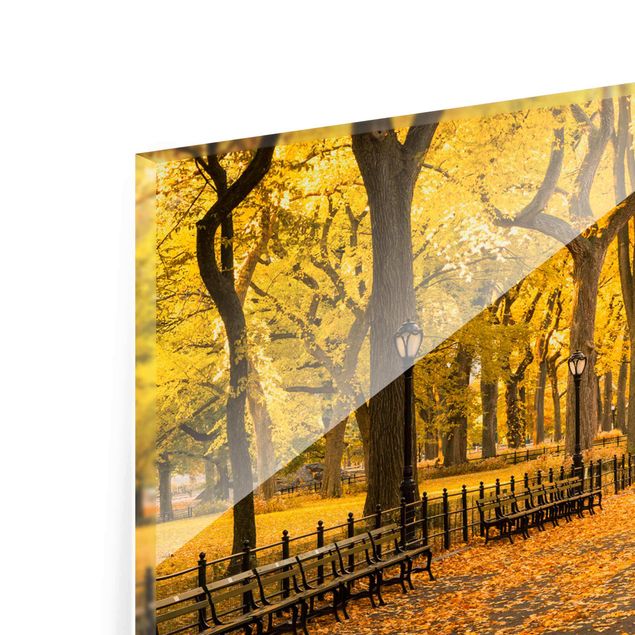 Tableau avec couleur orange Automne à Central Park
