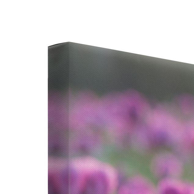 Tableau lilas Prairie de coquelicots violets au printemps