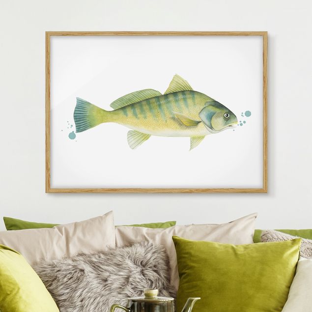 Tableaux poissons Color Catch - Perche