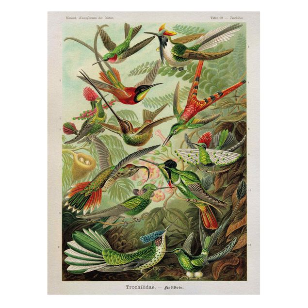 Tableaux vintage Vintage Board Hummingbirds