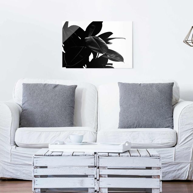 Tableaux en verre noir et blanc Arbre à caoutchouc noir et blanc