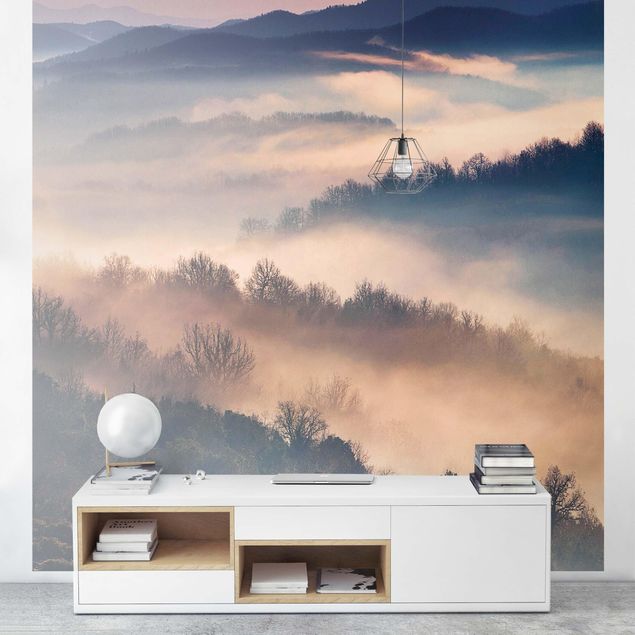 Papier peint forêt Brouillard au coucher du soleil