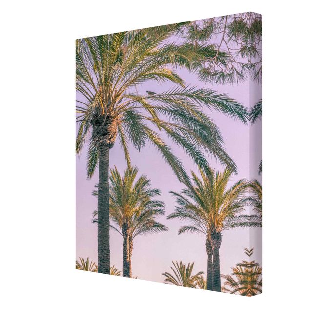 Tableau nature Palmiers au coucher du soleil