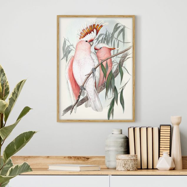 Affiches encadrées vintage Perroquets au pastel I