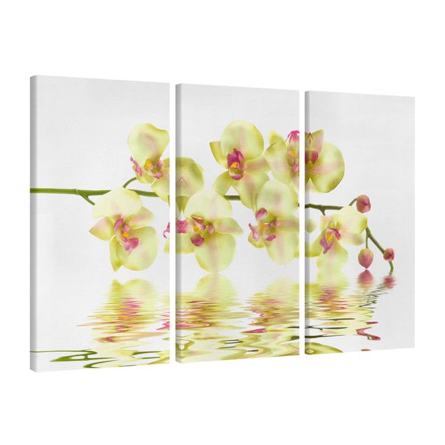Tableaux modernes Dreamy Orchid Waters