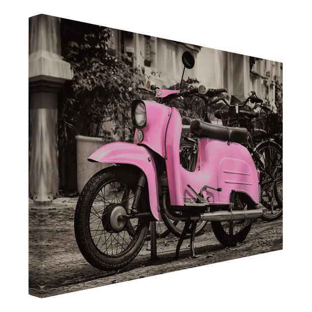 Reproduction sur toile Scooter Rose