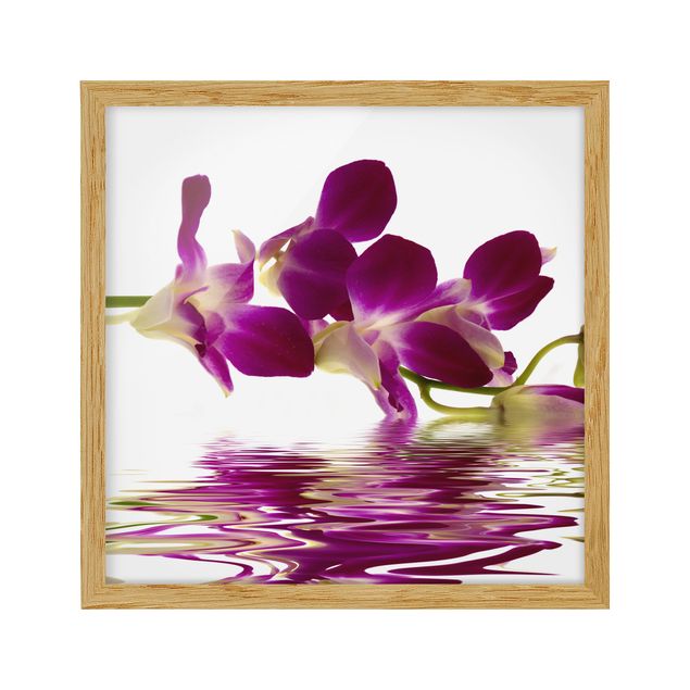 Tableaux moderne Eaux d'orchidées roses