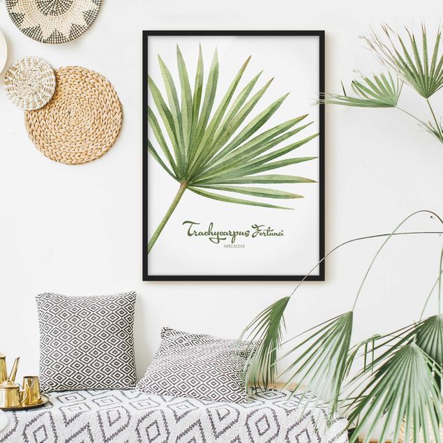 Poster encadré - Watercolour Botany Trachycarpus Fortunei