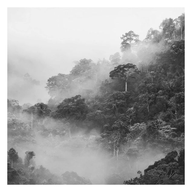 Papier peint adhésif forêt - Jungle In The Fog Black And White