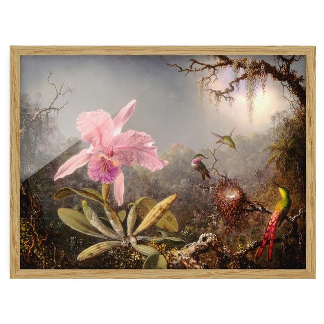Affiches encadrées fleurs Martin Johnson Heade - Orchidée et trois colibris