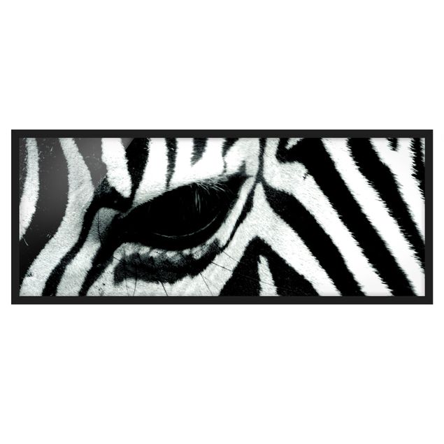 Affiches encadrées animaux Zebra Crossing