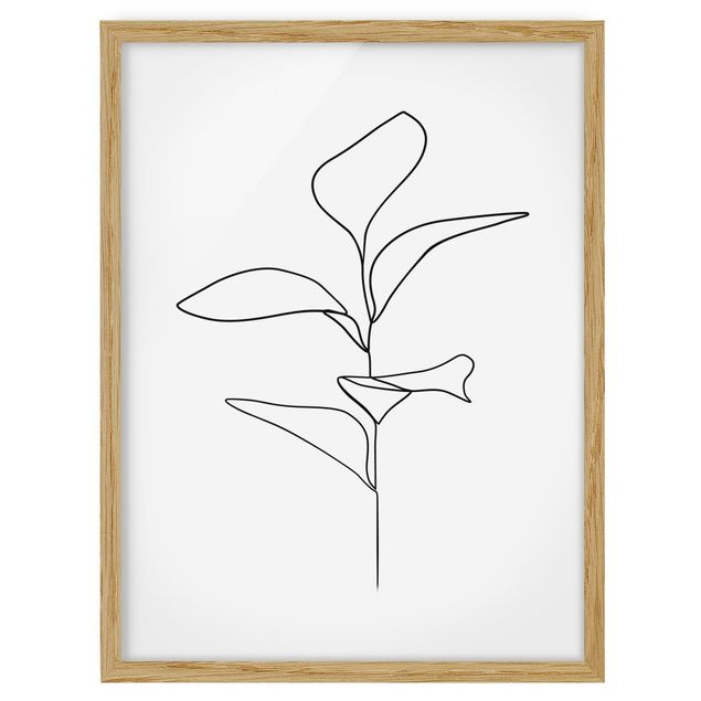 Affiches encadrées noir et blanc Line Art Feuilles de plantes Noir et Blanc