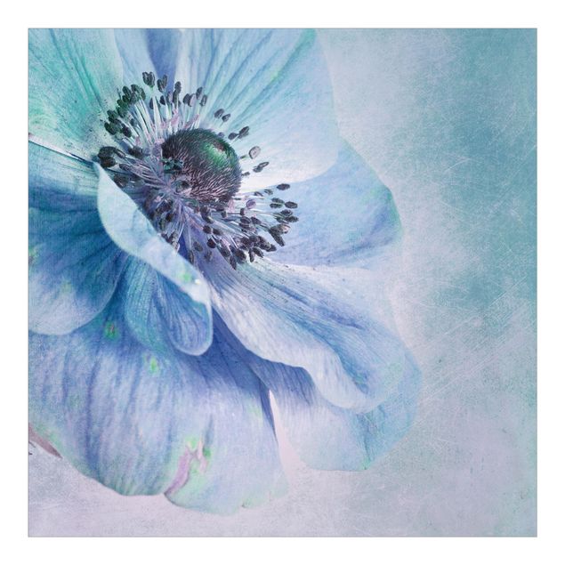 Papier peint adhésif floral - Flower In Turquoise