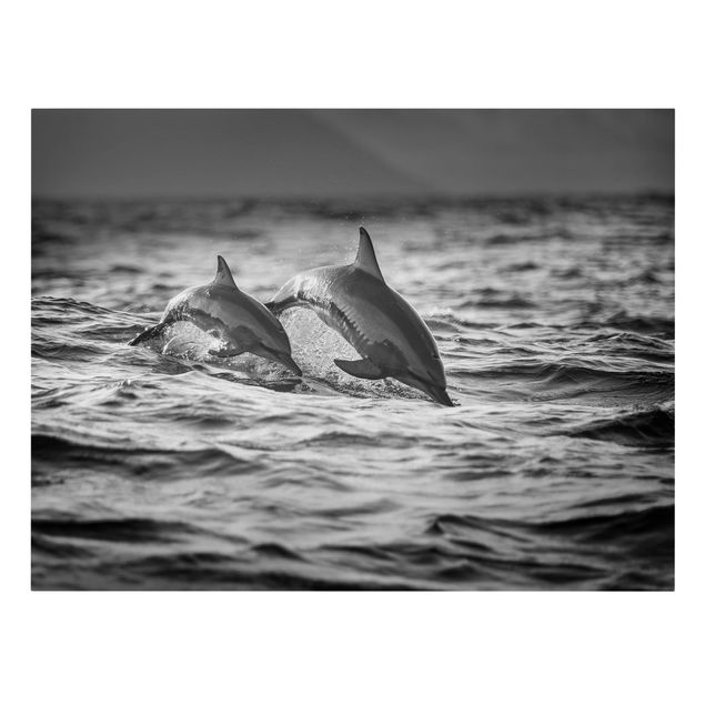 Tableaux moderne Deux dauphins qui sautent