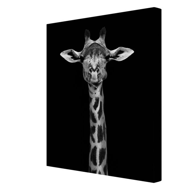 Cadre animaux Portrait de girafe sombre