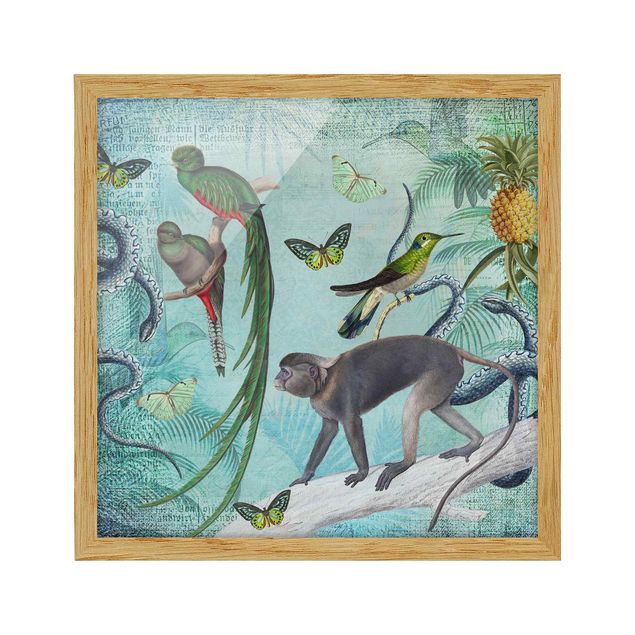 Tableau fleurs Collage de style colonial - Singes et oiseaux de paradis