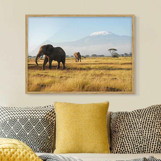 Déco mur cuisine Elephants In Front Of The Kilimanjaro In Kenya