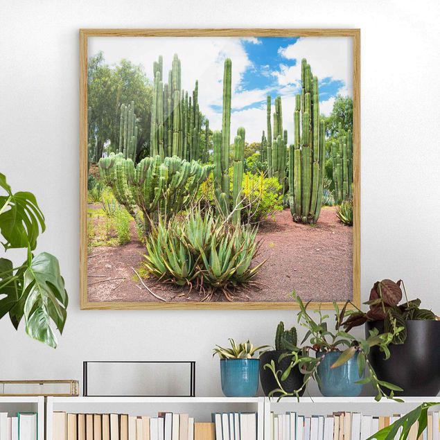 Déco murale cuisine Paysage de cactus
