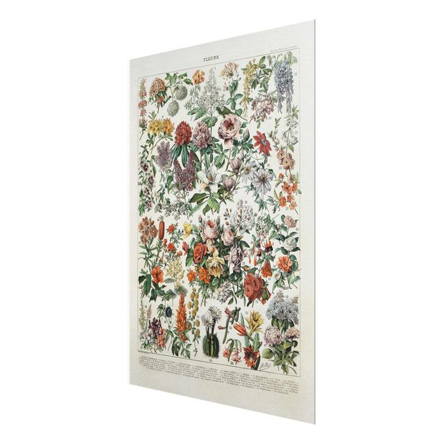 Tableau multicolor Tableau Vintage des Fleurs II
