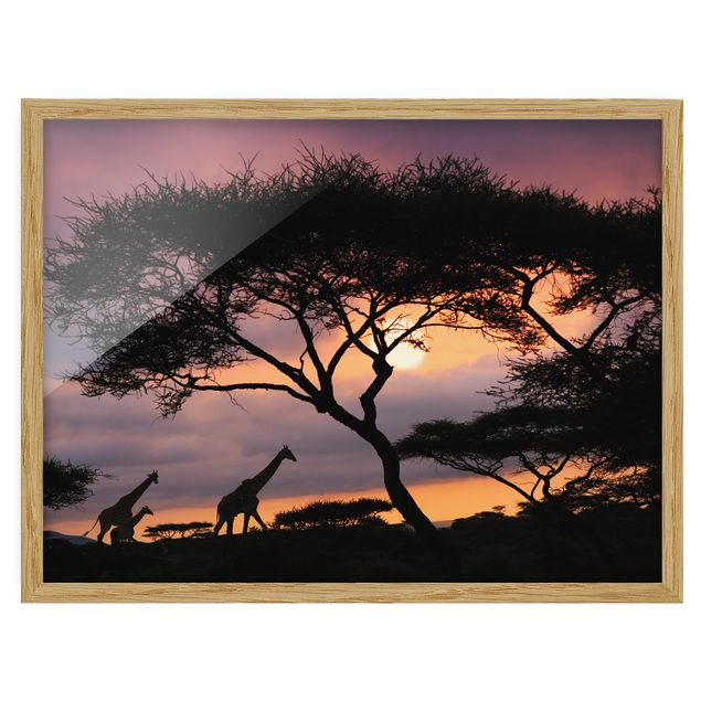 Tableaux encadrés paysage African Safari