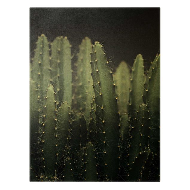 Tableau décoration Cactus du désert la nuit
