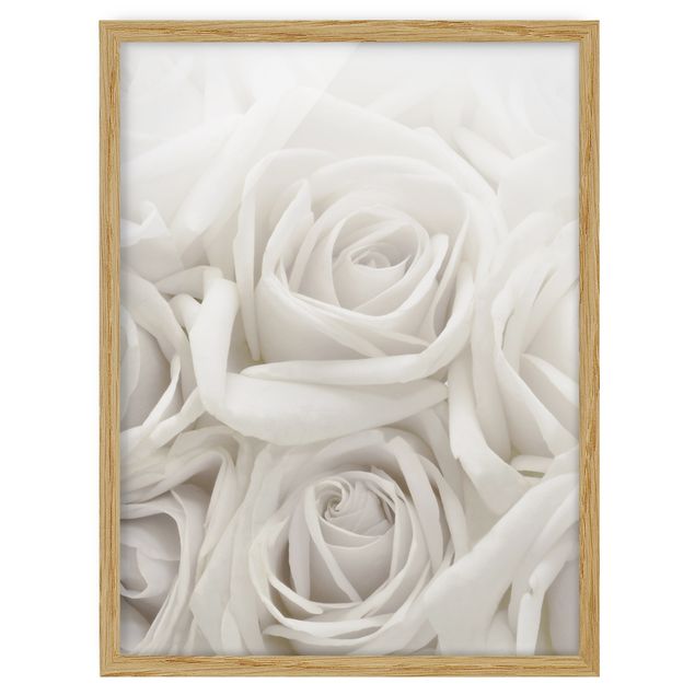 Tableaux fleurs White Roses
