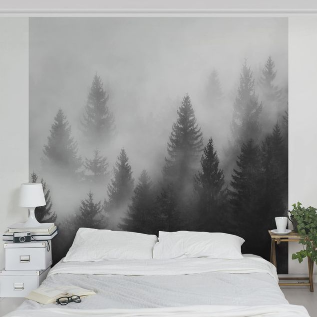 Papier peint panoramique forêt Forêt de conifères dans le brouillard Noir et blanc