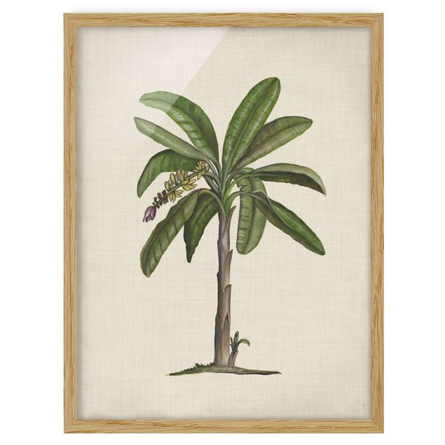tableaux floraux British Palms II