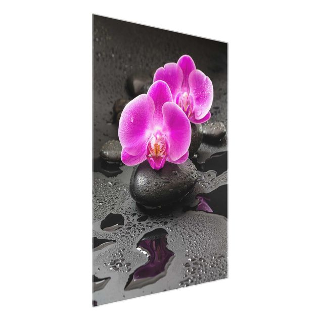 Tableaux en verre fleurs Fleur Orchidée Rose sur Pierres avec Gouttes