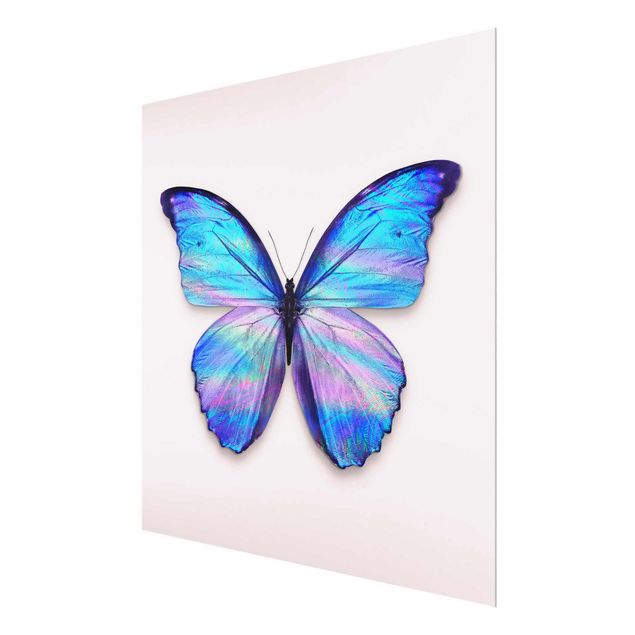 Tableaux animaux Papillon Holographique