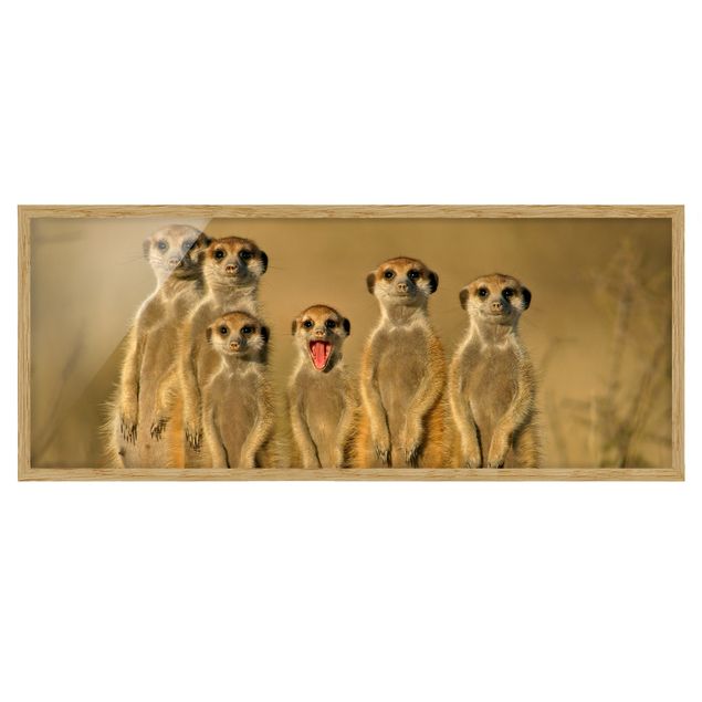Tableaux modernes Famille de suricates