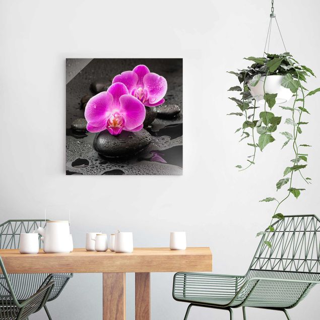 Tableau orchidées Fleur Orchidée Rose sur Pierres avec Gouttes