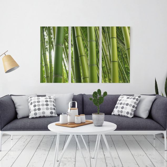 Tableau paysages Bamboo Trees