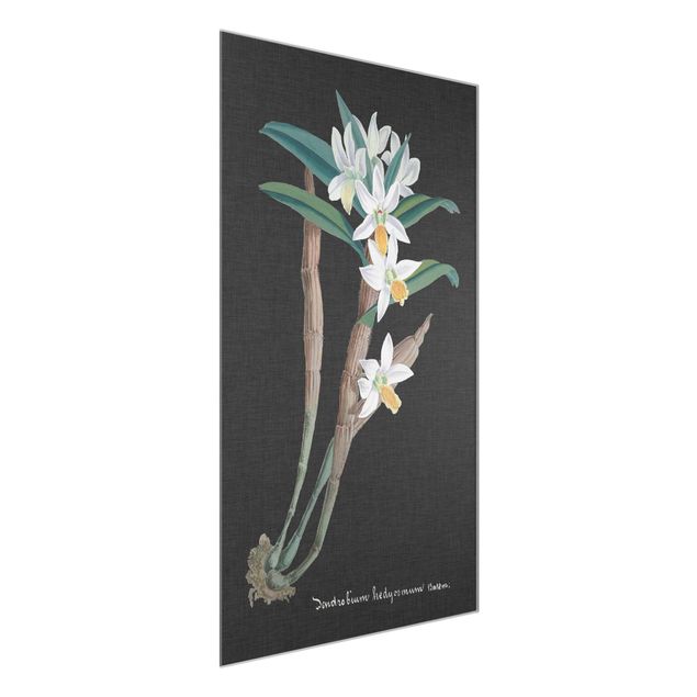 Tableaux en verre fleurs Orchidée blanche sur lin I