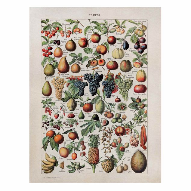 Tableaux sur toile avec légumes et fruit Tableau Vintage Fruits