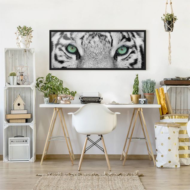 Affiches encadrées noir et blanc Tigre Blanc