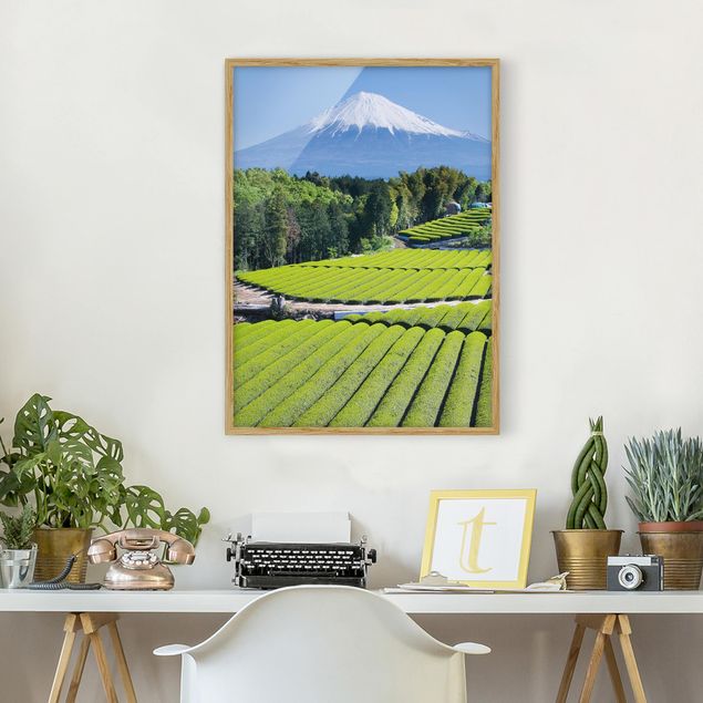 Tableau paysages Champs de thé devant le Fuji