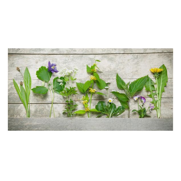 Tableaux florals Herbes médicinales et herbes des prés
