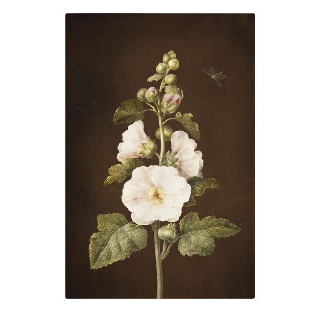 Tableau fleurs Barbara Regina Dietzsch - Rose trémière