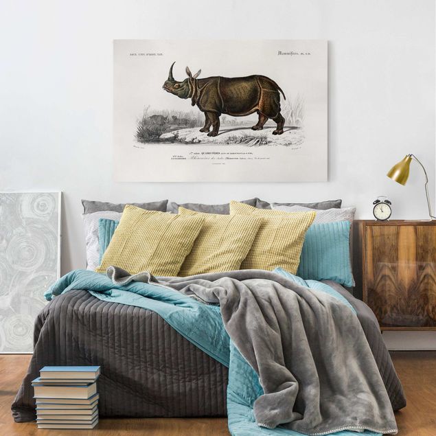 Tableau toile afrique Tableau Botanique Rhino