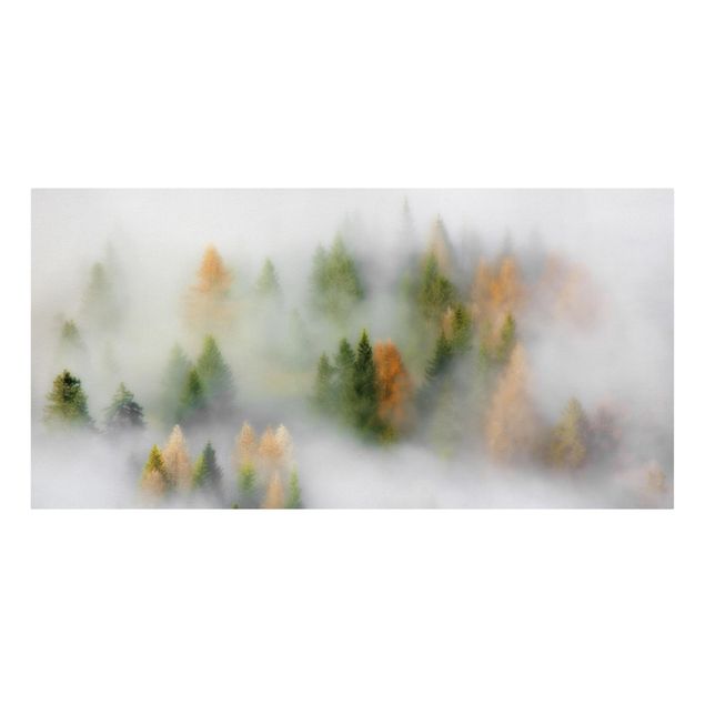 Tableaux nature Forêt de nuages en automne
