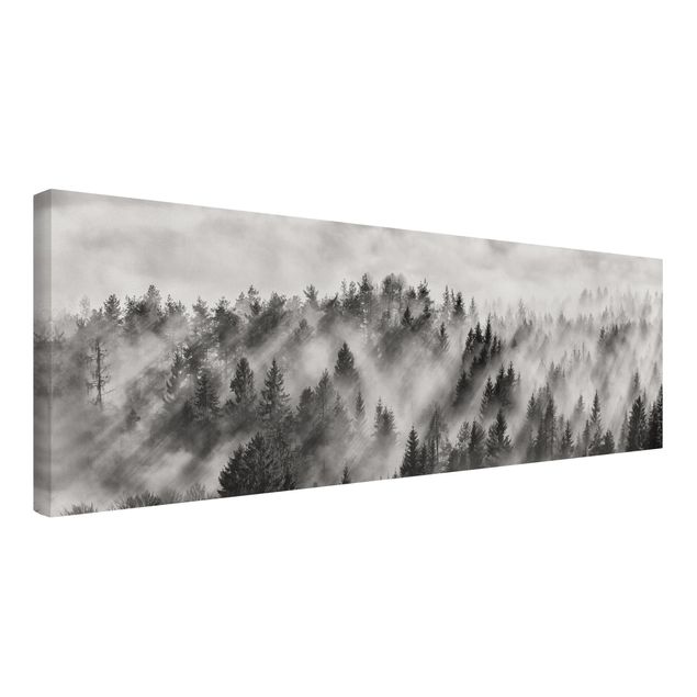 Tableaux sur toile en noir et blanc Rayons lumineux dans la forêt de conifères