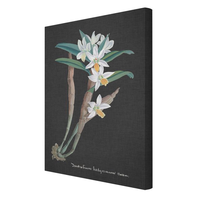 Tableaux florals Orchidée blanche sur lin I