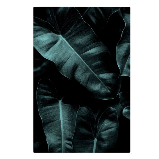 Tableau floral Feuilles de la jungle vert foncé